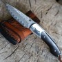 II. jakost - nůž zavírací Dellinger MUSHROOM KILLER vg10 Damascus