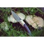 II. jakost - nůž zavírací Dellinger MUSHROOM KILLER vg10 Damascus