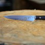 Nůž NAKIRI Dellinger JOSHI Sakura, včetně brusného kamene 1000/6000