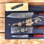 Nůž NAKIRI Dellinger JOSHI Sakura, včetně brusného kamene 1000/6000