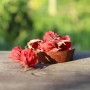 Herbal Tea Hibiscus 25g