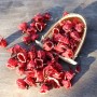 Hibiscus (ibišek) mletý 50g tubus