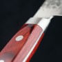 Nůž Gyuto/Kiritsuke Hokiyama-Tosa-Ichi Tsuchime Bright Red 210 mm