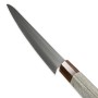 Japonský nůž WA-Chef/Gyuto 210 mm Kanetsune SPG2 Powder Steel
