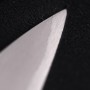Japonský nůž Yanagiba/Sashimi 240 mm Kairyo Kasumi Sakai Takayuki