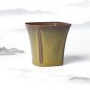 čajový šálek Longquan Celadon - Mossy Miracle